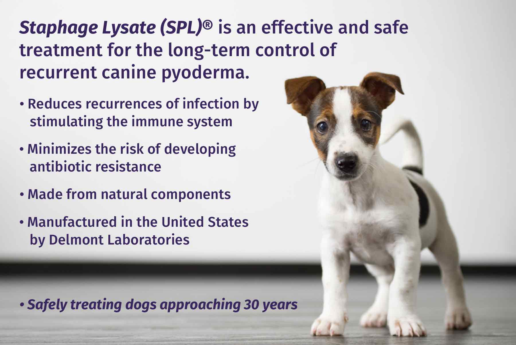 Delmont Laboratories | Control Recurrent Canine Pyoderma